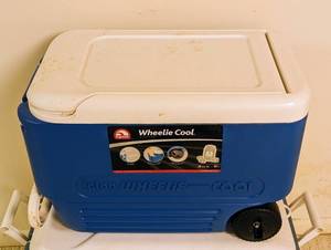 lot 364A image: Pair of Igloo Coolers