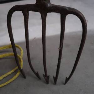 lot 23 image: 5 PRONGED SMALL SPEAR