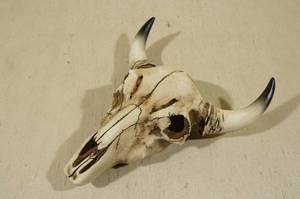 Resin Steer Skull