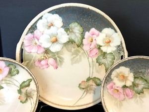 lot 166 image: Beautiful Floral Vintage RS German Plate Set