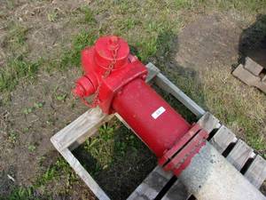 lot 50 image: Fire Hydrant - Approx. 5-feet long