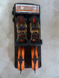 lot 10 image: Erickson Ratcheting Tie-Downs