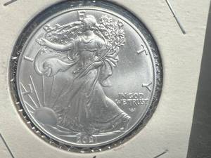 2021 1 oz American Silver Eagle Coin