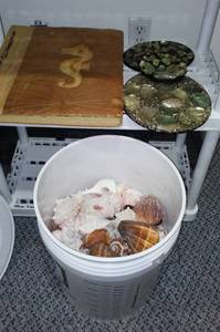 lot 592 image: Scrap Book, Shells and more. (2)