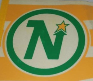 Vintage Minnesota North Stars Pennant.