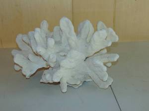lot 16 image: 16 x x12 Coral