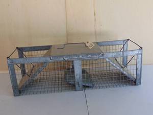 lot 28 image: Live Trap 36 12 x 11 x 11