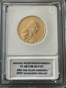 2007 Sacagawea Silver Enriched Dollar
