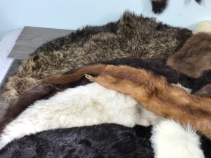 lot 423 image: Lot of Furs