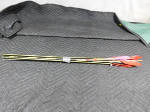 lot 296 image: Lot of target arrows