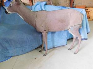 lot 331 image: Deer decoy for hunting - Has inserts that come out in head to insert horns to make it a buck as well