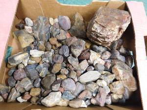 lot 363 image: Lg flat of agates fossils, and more