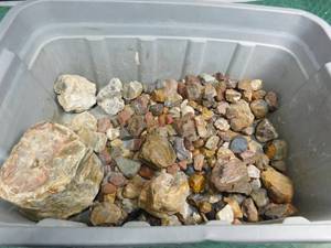 lot 364 image: tote of agates, fossils, and more