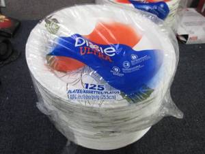 125 ct Dixie 10 inch Paper Plates...