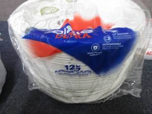 125 ct Dixie 10 inch Paper Plates...