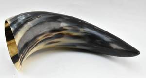 lot 49 image: Large Individual Hollowed Viking Horn