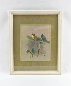 lot 377 image: 1960 F. Lansdowne Bird Print