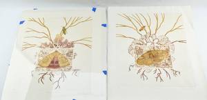 lot 303 image: Two Signed Perpetual Light Etchings by William Marlow