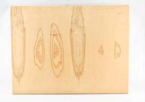 lot 310 image: Jacqueline Ehlis Trace Mistress Birch Panel 2001