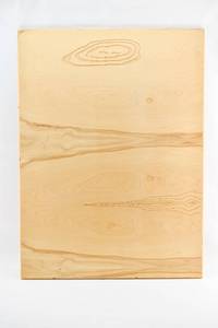 lot 309 image: Jacqueline Ehlis Quiver Birch Panel 2001