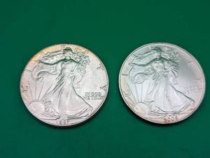 1987 And 2005 American Eagle Silver Dollars