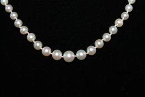 lot 35 image: Cultured Pearl Necklace