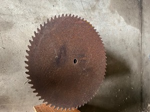 lot 33 image: 29 buzz saw blade