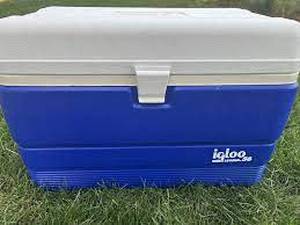 lot 115 image: Igloo Legend 56 Cooler