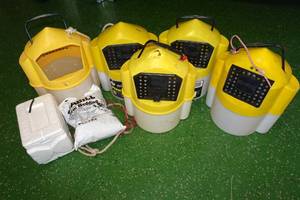 lot 335 image: 6 Minnow Buckets with Worm Bedding
