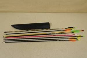 lot 58B image: 8 Practice Arrows