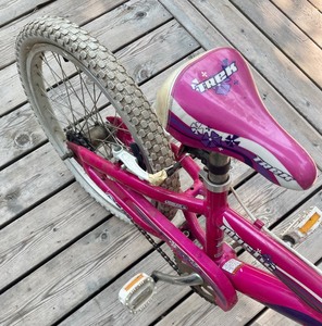 Trek Girls Childrens Mystic Bicycle