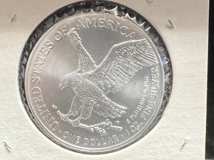 2021 Walking Liberty 1 oz Silver Coin