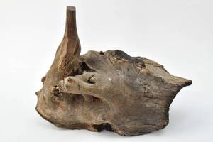 lot 145 image: Petrified Wood Decoration
