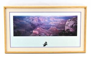 lot 188 image: Grand Canyon National Park Framed Photograph