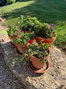 lot 6 image: Group of 5 Clay Planters