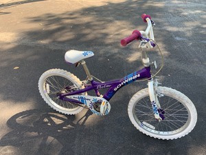 lot 15 image: Delete Schwinn 19 inch Kids Bike