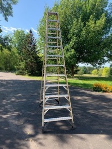 lot 20 image: Warner 12 foot Step Ladder