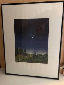 lot 73 image: Carl Homestad Earthshine
