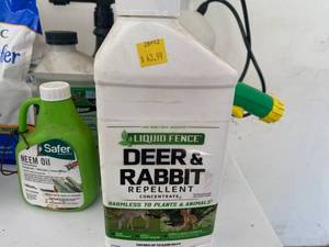 lot 90 image: More Lawn Care