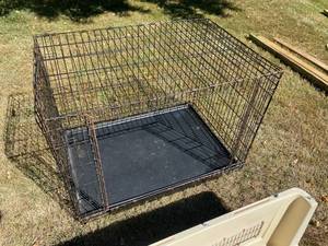 lot 103 image: Dog Kennels and Fence