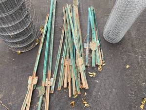 lot 113 image: Fence Posts