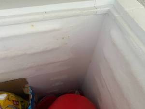 lot 121 image: Small Chest Freezer
