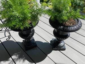 lot 199 image: Planters and Table