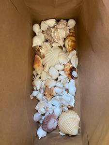 lot 205 image: Bag of shells