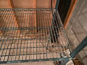 lot 154 image: Metro Shelving