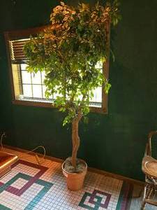 lot 226 image: Artificial Tree 8 Ft