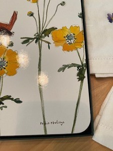 lot 13 image: Jason Make the Occasion Four Placemats in Box