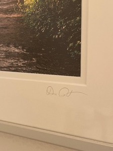 lot 58 image: Framed Nature Photograph Signed