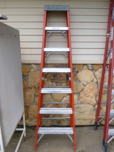 lot 107 image: Louisville Ladder