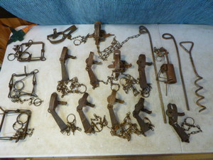 lot 185 image: 15 Animal Traps